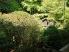 竜安寺石庭