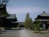 妙心寺
