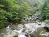 屋久島・白谷雲水峡