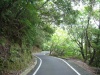 西部林道