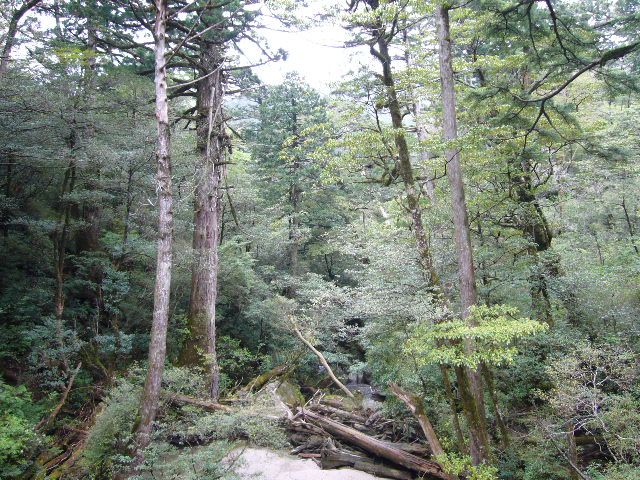 屋久島