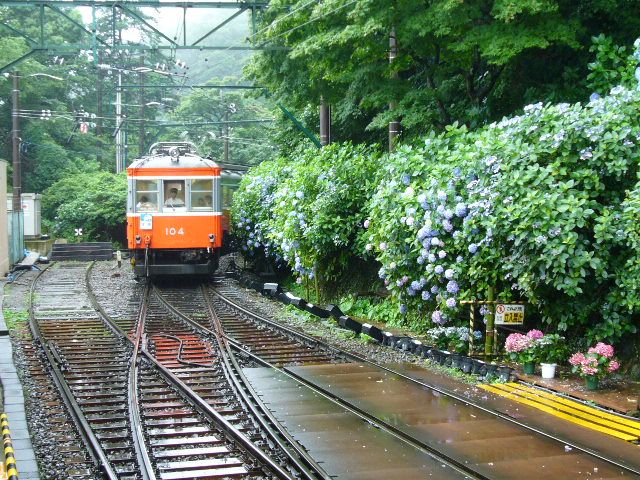 あじさい電車