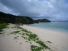 与論島