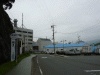 厳原