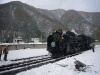 ＥＬ＆ＳＬ奥利根・Ｄ５１ ４９８号機