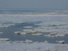 流氷