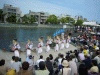 阿波踊り