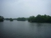 大沼公園