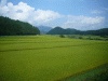 陸羽東線・沿線の風景