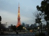 東京タワー