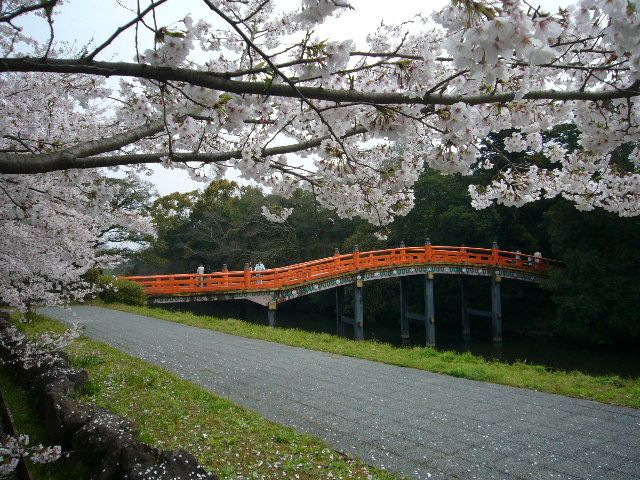 大分、宇佐神宮の桜