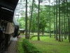 丸瀬布いこいの森・雨宮２１号