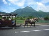 由布岳