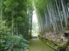熊野の参詣道