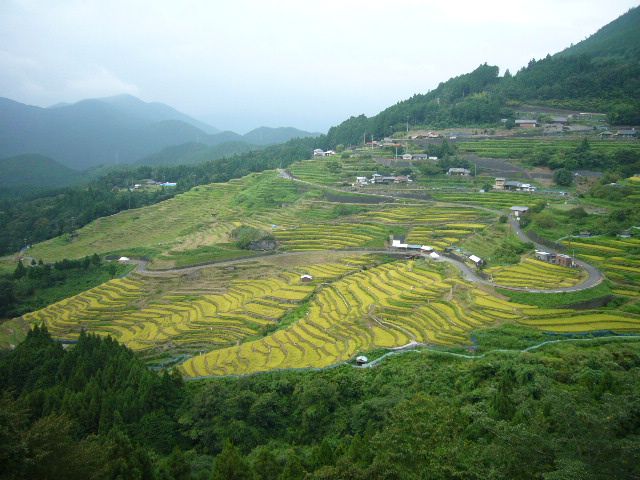 丸山千枚田