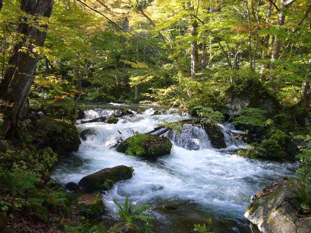 奥入瀬・阿修羅の流れ