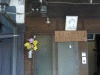 みすゞ潮彩