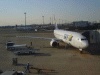 羽田空港