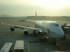 アシアナ航空・ＯＺ１０６便・成田行き