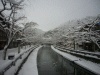 城崎温泉