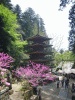 室生寺