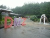 ＤＭＺ