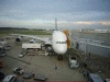 シンガポール航空・ＳＱ１２便・成田行き