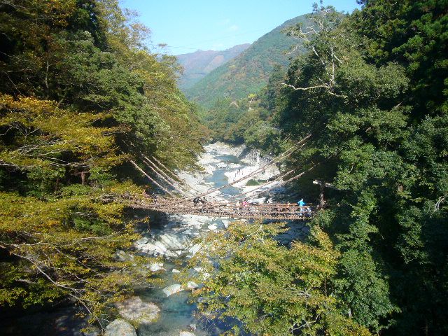 祖谷のかずら橋