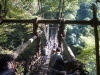 かずら橋
