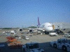 タイ国際航空・ＴＧ６７６便・成田行き