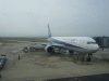 ＡＮＡ・ＮＨ１４１便・関空行き