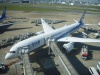 ＡＮＡ・ＮＨ２４１便・福岡行き