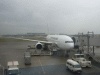 ＪＡＬ・ＪＬ３１３便・福岡行き