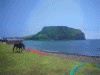 城山日出峰