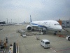 ＡＮＡ・ＮＨ９５９便・上海浦東行き