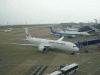 ＪＡＬ・ＪＬ３０８２便・成田行き