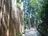 朝熊岳金剛證寺