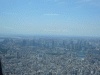 東京スカイツリーからの眺め