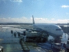 ＡＮＡ・ＮＨ５１便・新千歳行き