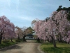 弘前公園