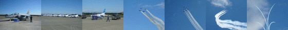 入間航空祭