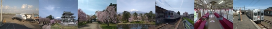 鷹揚自若～桜散る弘前